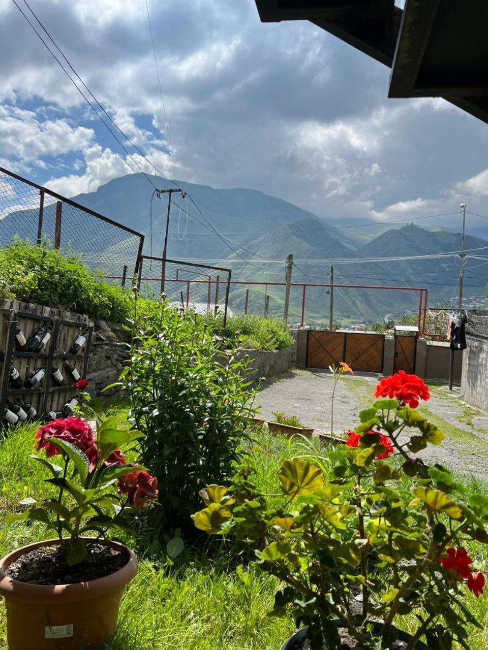 Guesthouse Relax In Kazbegi Ngoại thất bức ảnh