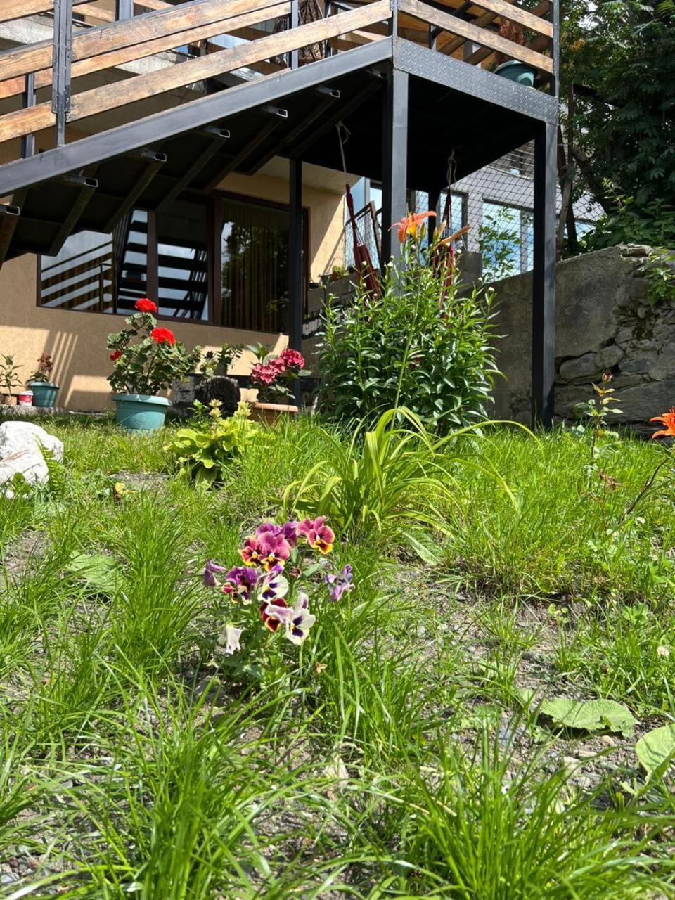 Guesthouse Relax In Kazbegi Ngoại thất bức ảnh